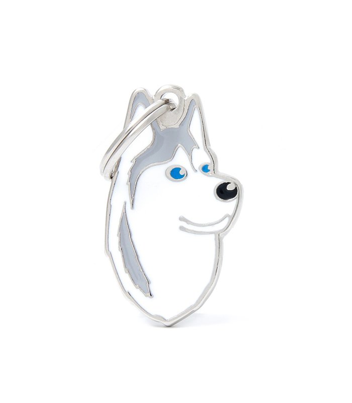 Grey & White Siberian Husky