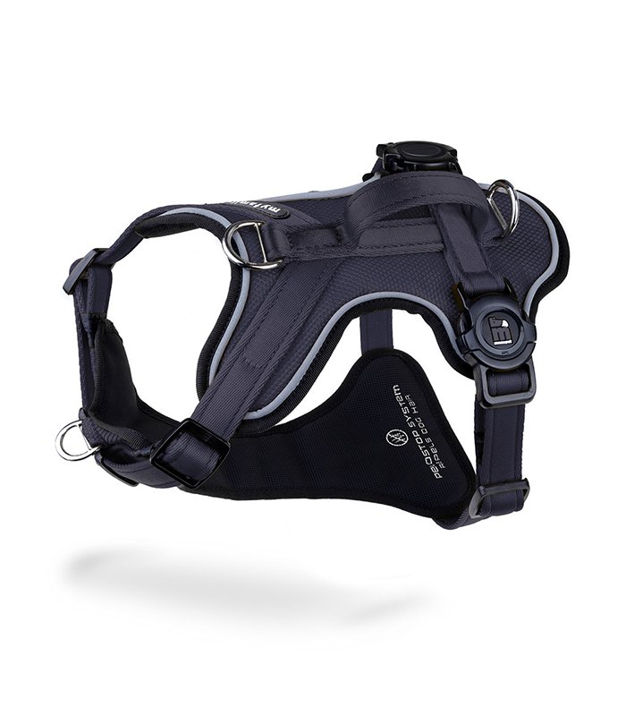 Harness Dark Blue Nylon - Xl
