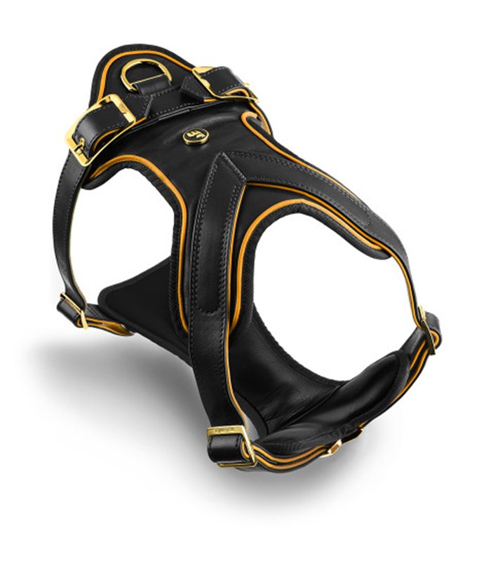 Harness S H Hermitage Leather Black & Ochre White Bronze