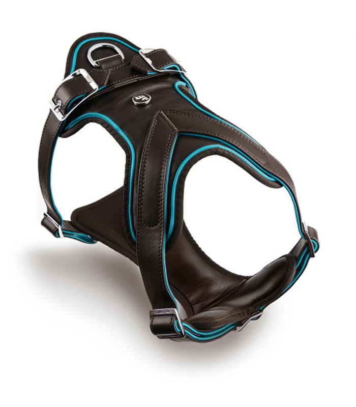 Harness S H Hermitage Leather Turquoise & Brown White Bronze